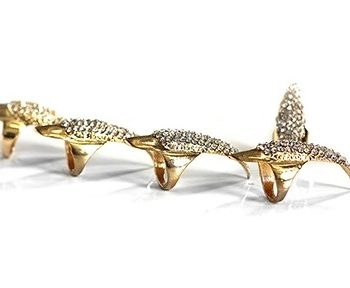 Cat Claws (set of 5)